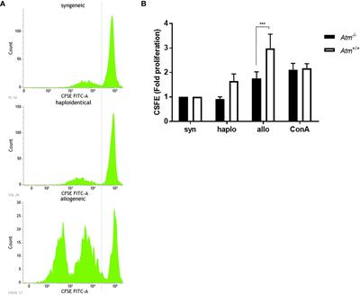 Survival and Functional Immune Reconstitution After Haploidentical Stem Cell Transplantation in Atm-Deficient Mice